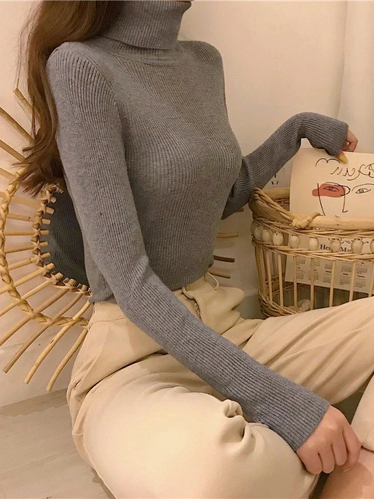 Elegantly Designed Jumper