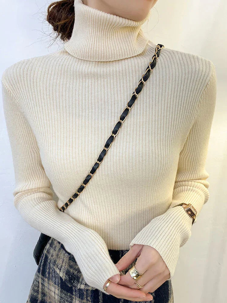 Elegantly Designed Jumper