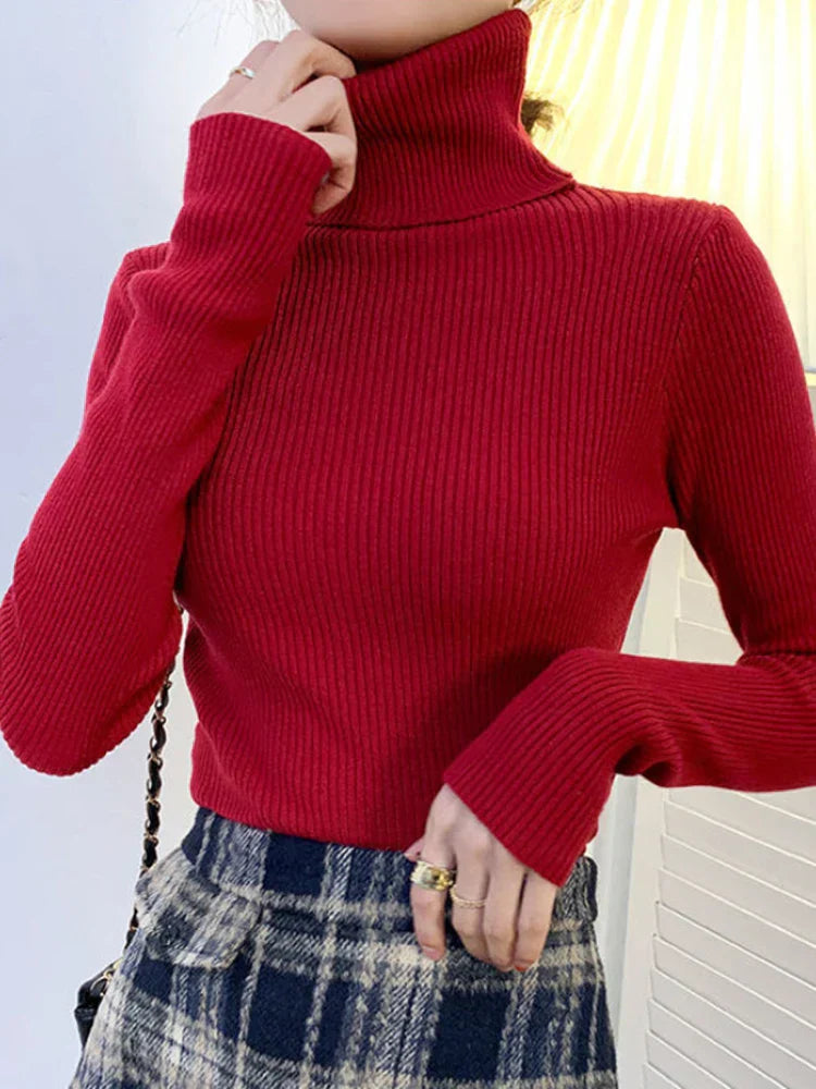 Elegantly Designed Jumper