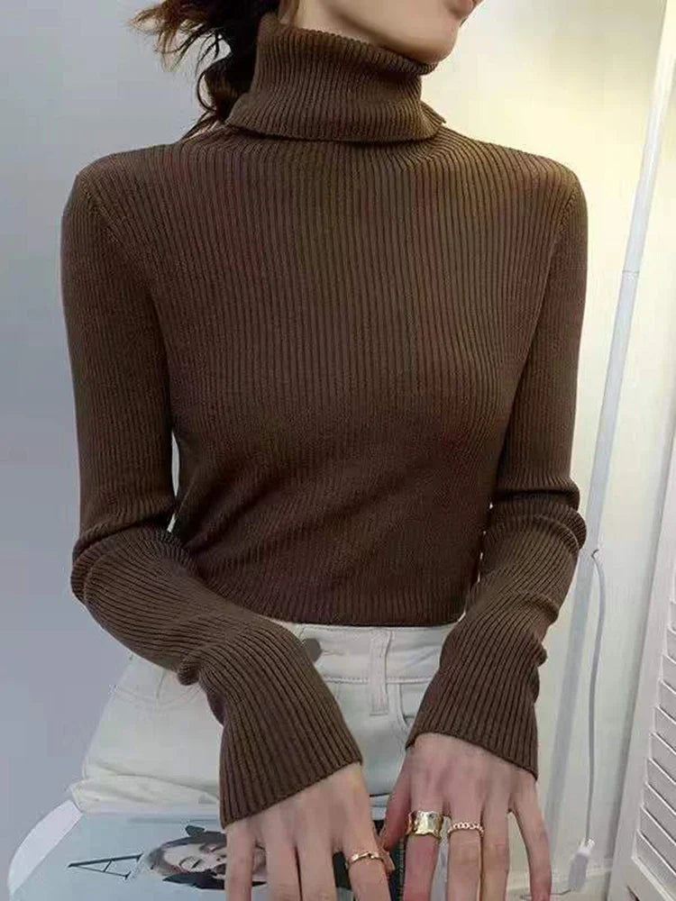 Elegantly Designed Jumper