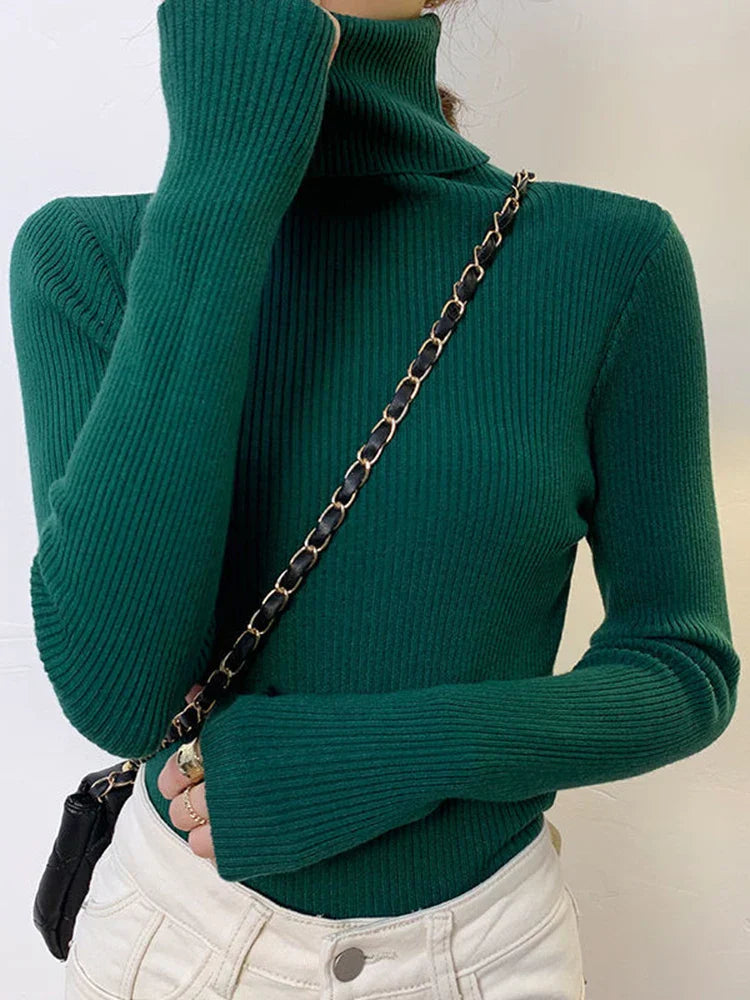 Elegantly Designed Jumper