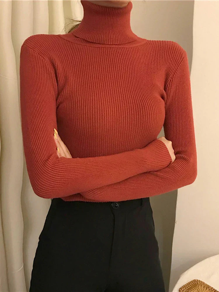 Elegantly Designed Jumper