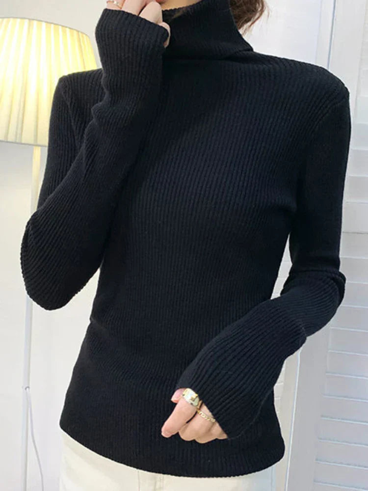 Elegantly Designed Jumper