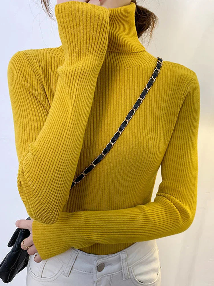 Elegantly Designed Jumper