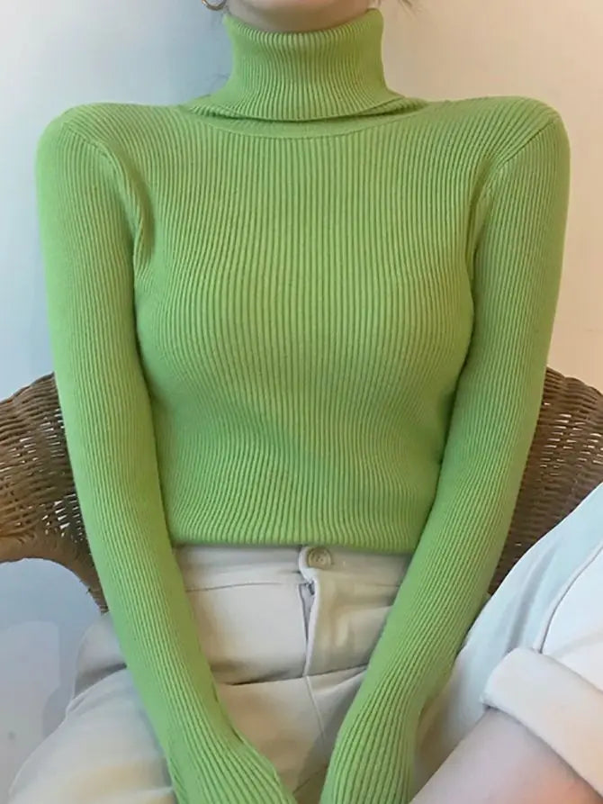 Thoughtfully Designed Jumper