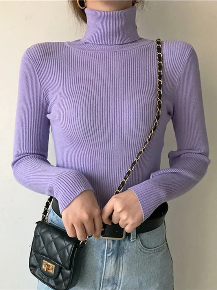 Elegantly Designed Jumper
