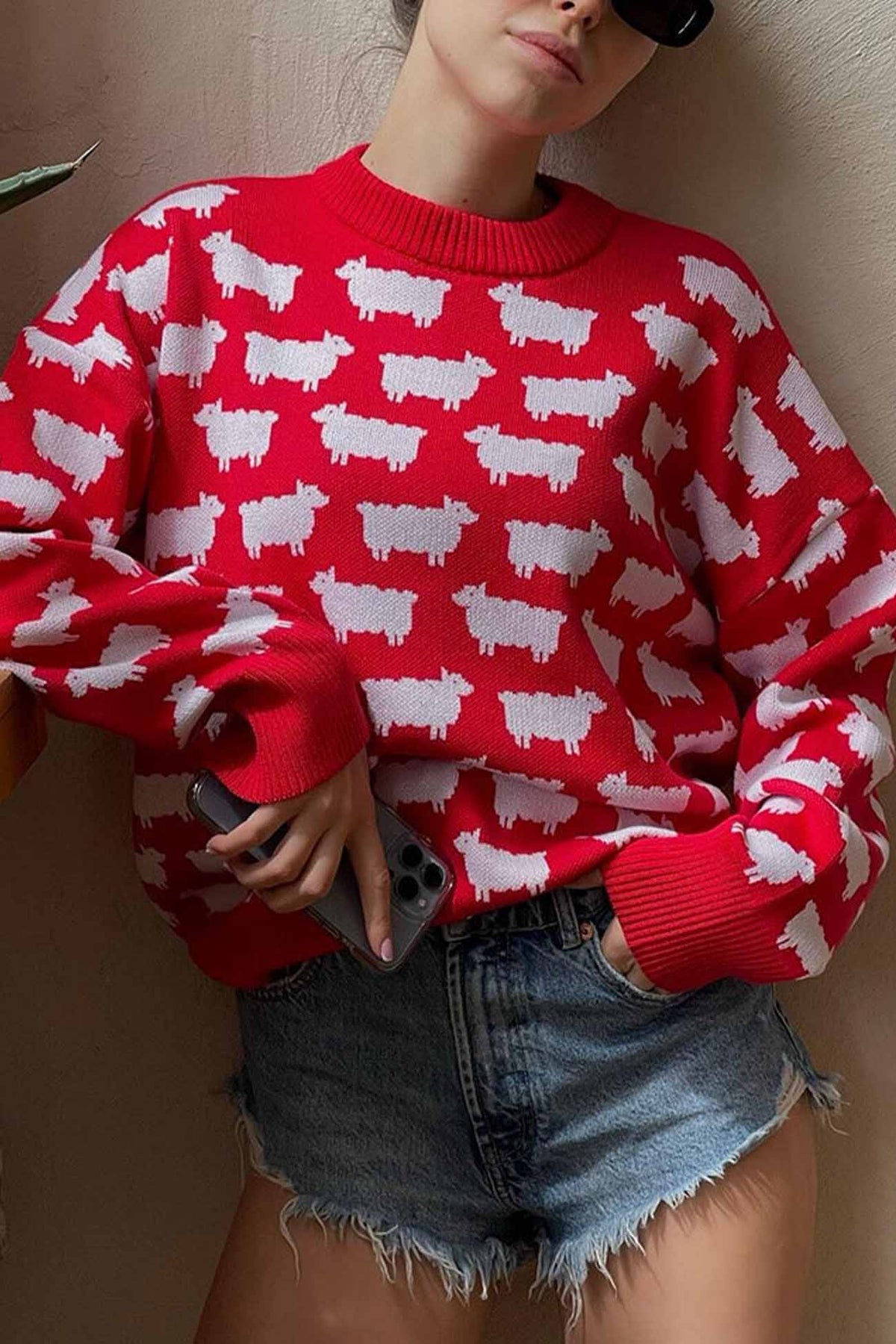 Classic Designed Jumper