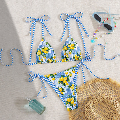 Subtly Bikini With a Refined Look