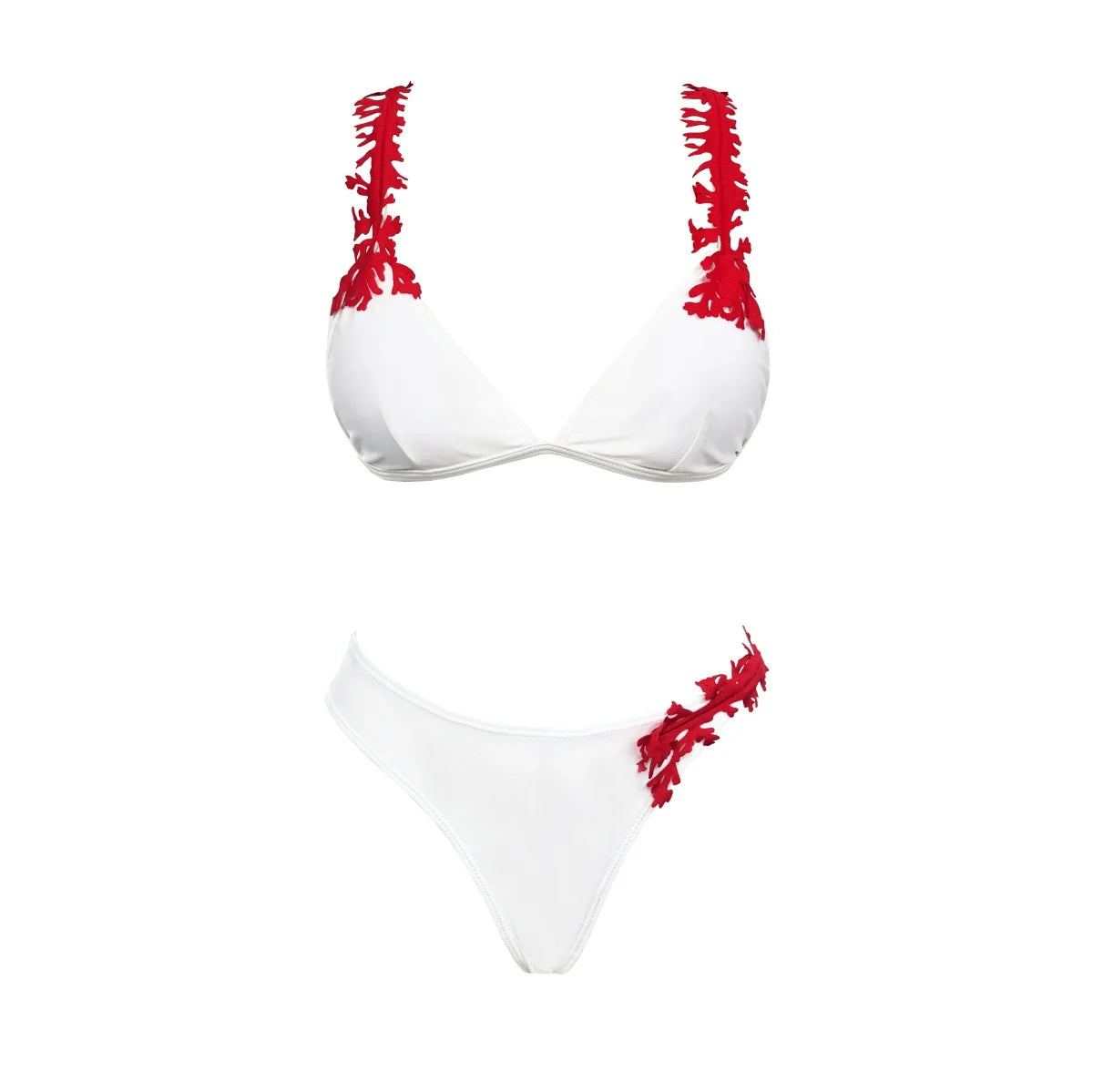 Sophisticated Bathing Suit With a Clean Classic Look