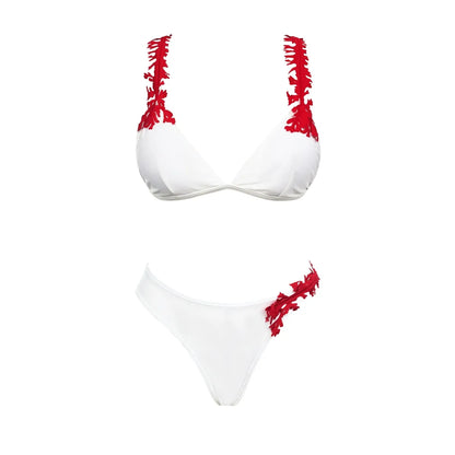 Sophisticated Bathing Suit With a Clean Classic Look
