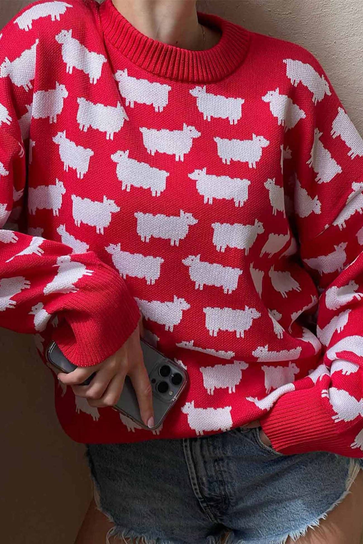 Classic Designed Jumper