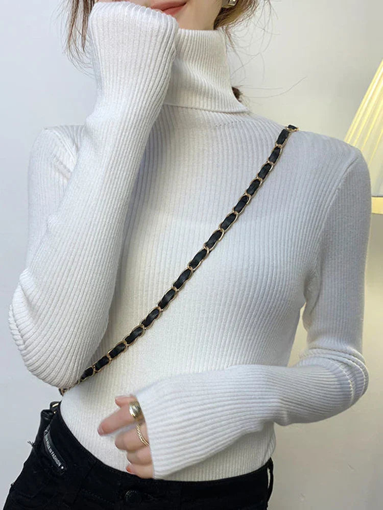 Elegantly Designed Jumper