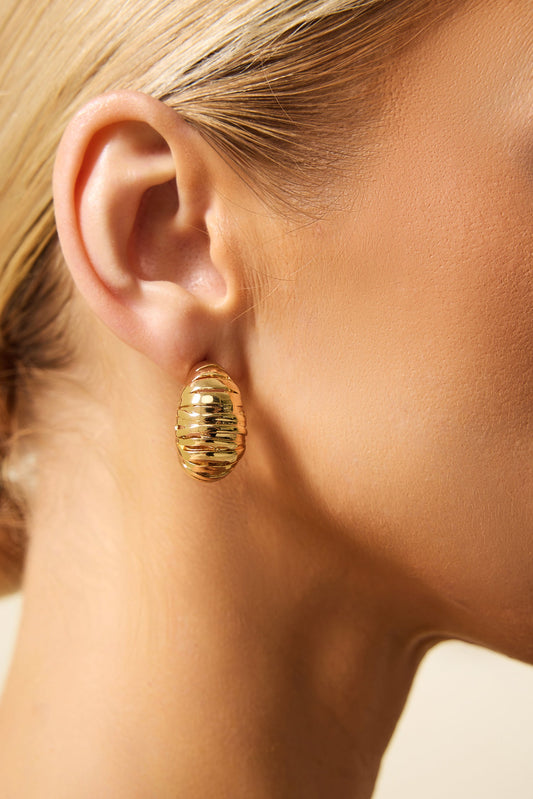 Metal Crescent Shape Earrings