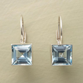 Romantic Earring for Special Moments